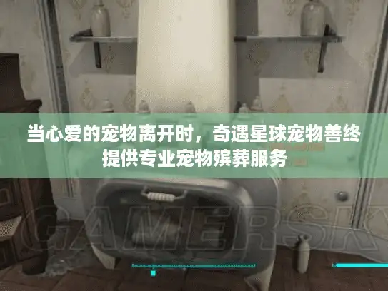 当心爱的宠物离开时，奇遇星球宠物善终提供专业宠物殡葬服务