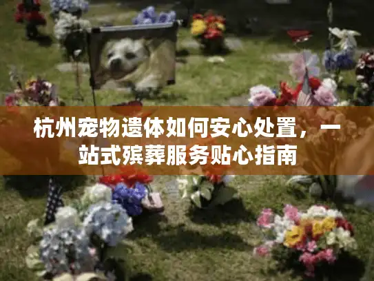杭州宠物遗体如何安心处置,一站式殡葬服务贴心指南 杭州宠物遗体如何安心处置,一站式殡葬服务贴心指南