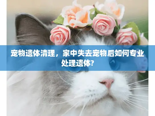 宠物遗体清理，家中失去宠物后如何专业处理遗体?
