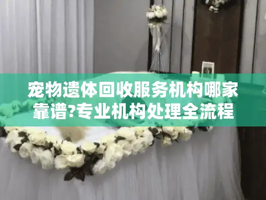 宠物遗体回收服务机构哪家靠谱?专业机构处理全流程解析