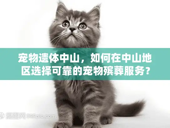 宠物遗体中山,如何在中山地区选择可靠的宠物殡葬服务? 宠物遗体中山,如何在中山地区选择可靠的宠物殡葬服务?