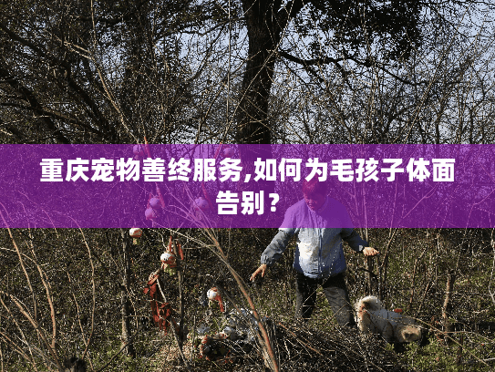 重庆宠物善终服务,如何为毛孩子体面告别？