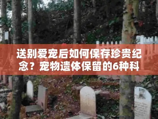 送别爱宠后如何保存珍贵纪念？宠物遗体保留的6种科学方式全解析