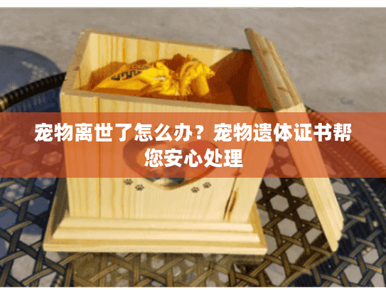 宠物离世了怎么办？宠物遗体证书帮您安心处理