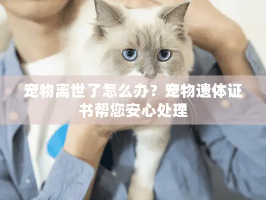 宠物离世了怎么办？宠物遗体证书帮您安心处理