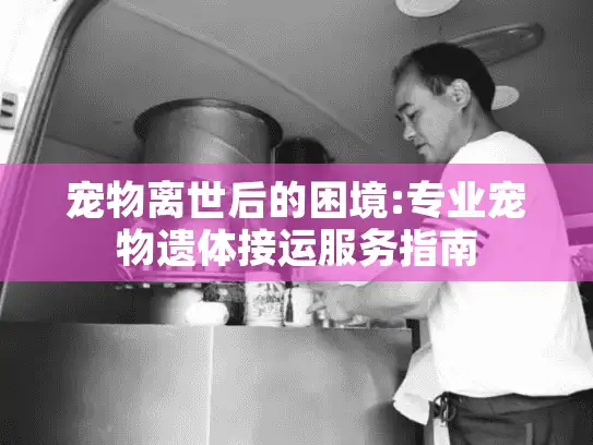 宠物离世后的困境:专业宠物遗体接运服务指南