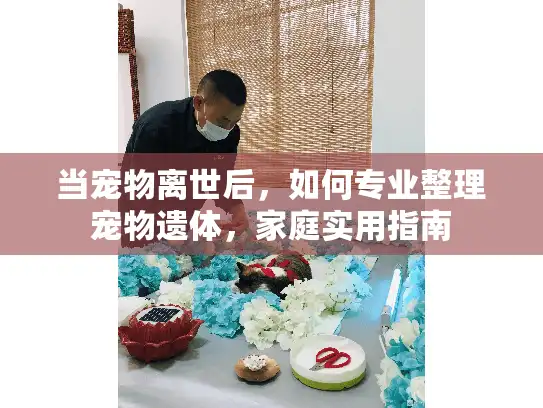当宠物离世后,如何专业整理宠物遗体,家庭实用指南 当宠物离世后,如何专业整理宠物遗体,家庭实用指南