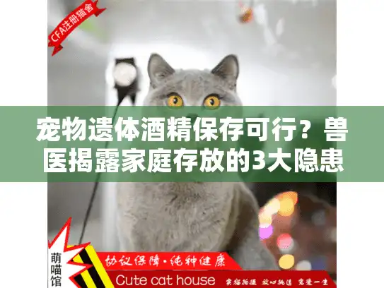 宠物遗体酒精保存可行？兽医揭露家庭存放的3大隐患及专业方案