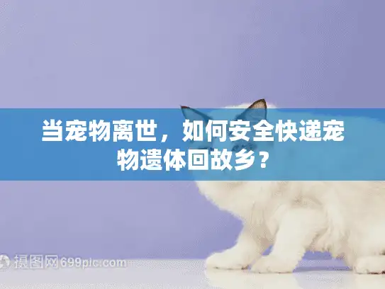 当宠物离世，如何安全快递宠物遗体回故乡？