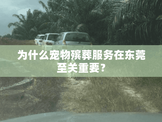 为什么宠物殡葬服务在东莞至关重要? 为什么宠物殡葬服务在东莞至关重要?