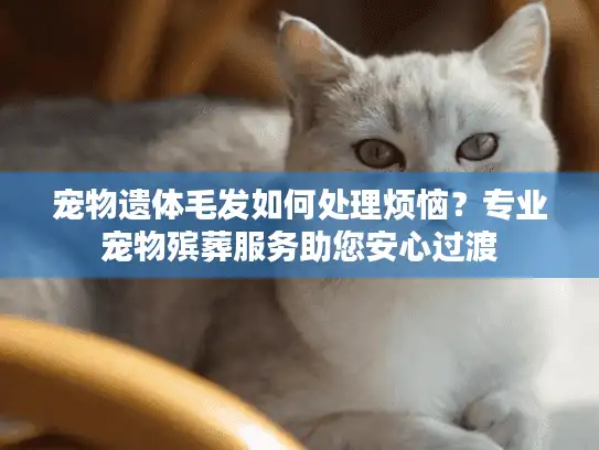 宠物遗体毛发如何处理烦恼？专业宠物殡葬服务助您安心过渡