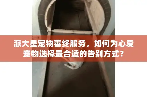 派大星宠物善终服务，如何为心爱宠物选择最合适的告别方式？