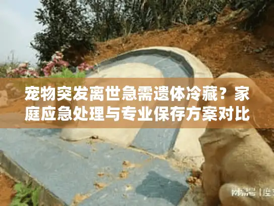 宠物突发离世急需遗体冷藏?家庭应急处理与专业保存方案对比 宠物突发离世急需遗体冷藏?家庭应急处理与专业保存方案对比