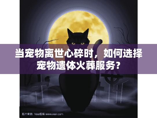 当宠物离世心碎时，如何选择宠物遗体火葬服务？