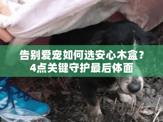 告别爱宠如何选安心木盒？4点关键守护最后体面