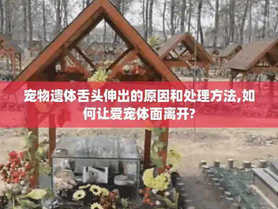 宠物遗体舌头伸出的原因和处理方法,如何让爱宠体面离开? 宠物遗体舌头伸出的原因和处理方法,如何让爱宠体面离开?