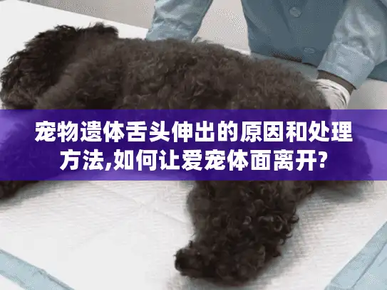 宠物遗体舌头伸出的原因和处理方法,如何让爱宠体面离开? 宠物遗体舌头伸出的原因和处理方法,如何让爱宠体面离开?