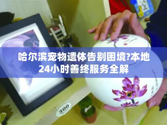 哈尔滨宠物遗体告别困境?本地24小时善终服务全解