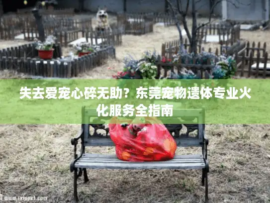失去爱宠心碎无助?东莞宠物遗体专业火化服务全指南 失去爱宠心碎无助?东莞宠物遗体专业火化服务全指南