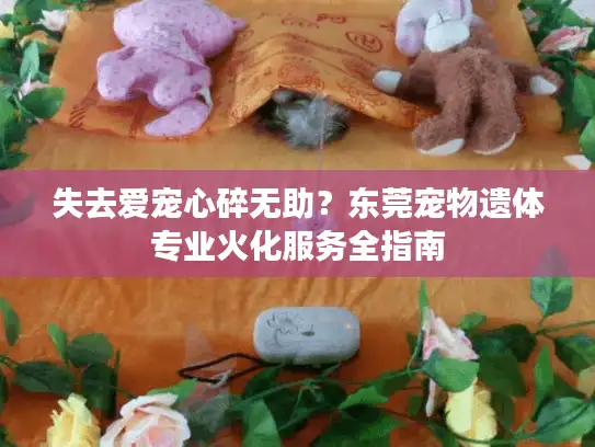 失去爱宠心碎无助?东莞宠物遗体专业火化服务全指南 失去爱宠心碎无助?东莞宠物遗体专业火化服务全指南