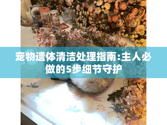 宠物遗体清洁处理指南:主人必做的5步细节守护