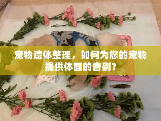 宠物遗体整理，如何为您的宠物提供体面的告别？