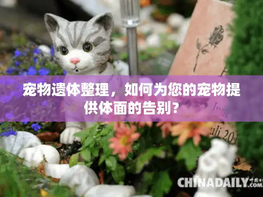 宠物遗体整理，如何为您的宠物提供体面的告别？