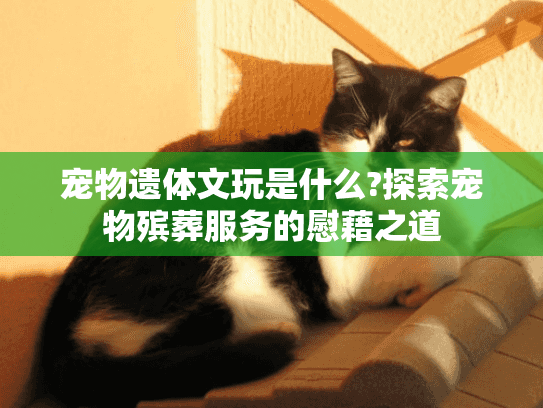宠物遗体文玩是什么?探索宠物殡葬服务的慰藉之道