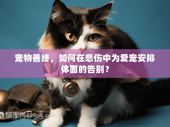 宠物善终,如何在悲伤中为爱宠安排体面的告别? 宠物善终,如何在悲伤中为爱宠安排体面的告别?