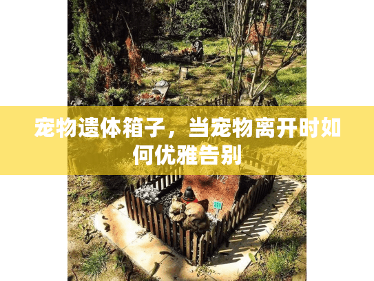 宠物遗体箱子，当宠物离开时如何优雅告别