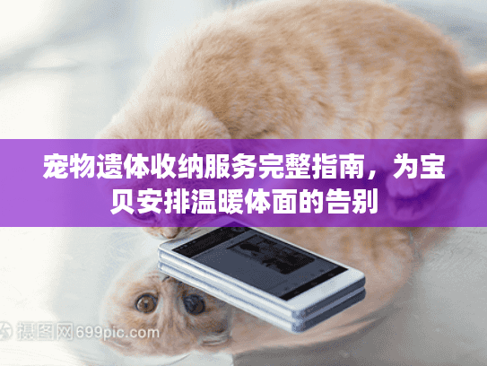 宠物遗体收纳服务完整指南，为宝贝安排温暖体面的告别