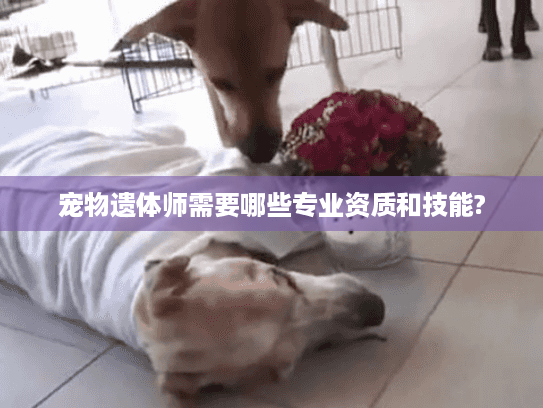 宠物遗体师需要哪些专业资质和技能? 宠物遗体师需要哪些专业资质和技能?