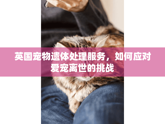英国宠物遗体处理服务，如何应对爱宠离世的挑战