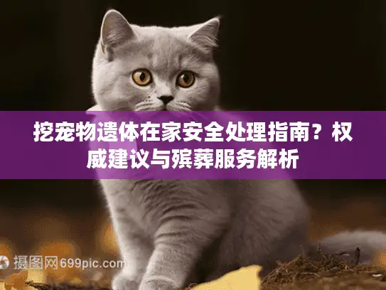 挖宠物遗体在家安全处理指南？权威建议与殡葬服务解析