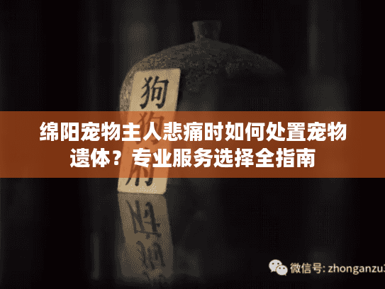 绵阳宠物主人悲痛时如何处置宠物遗体？专业服务选择全指南