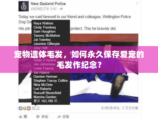 宠物遗体毛发,如何永久保存爱宠的毛发作纪念? 宠物遗体毛发,如何永久保存爱宠的毛发作纪念?