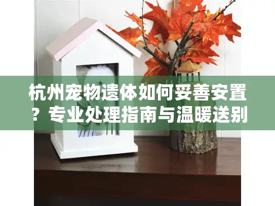 杭州宠物遗体如何妥善安置？专业处理指南与温暖送别方案