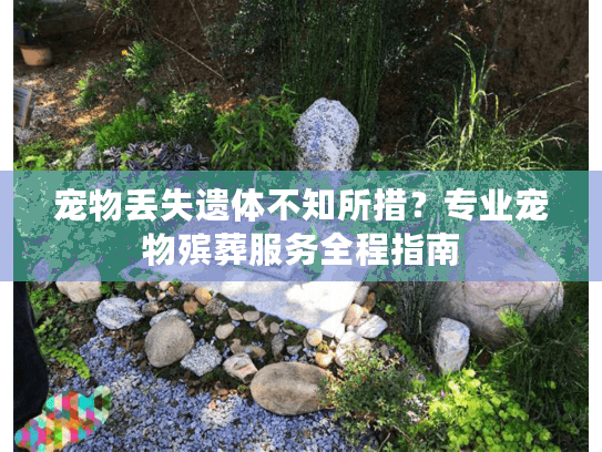 宠物丢失遗体不知所措？专业宠物殡葬服务全程指南