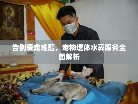 告别爱宠难题,宠物遗体水葬服务全面解析 告别爱宠难题,宠物遗体水葬服务全面解析