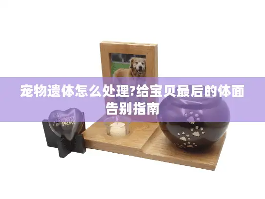 宠物遗体怎么处理?给宝贝最后的体面告别指南