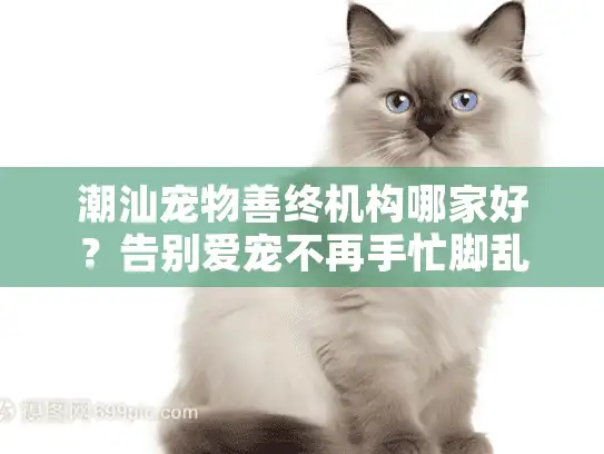 潮汕宠物善终机构哪家好?告别爱宠不再手忙脚乱 潮汕宠物善终机构哪家好?告别爱宠不再手忙脚乱