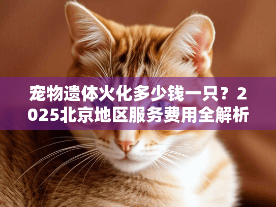 宠物遗体火化多少钱一只？2025北京地区服务费用全解析