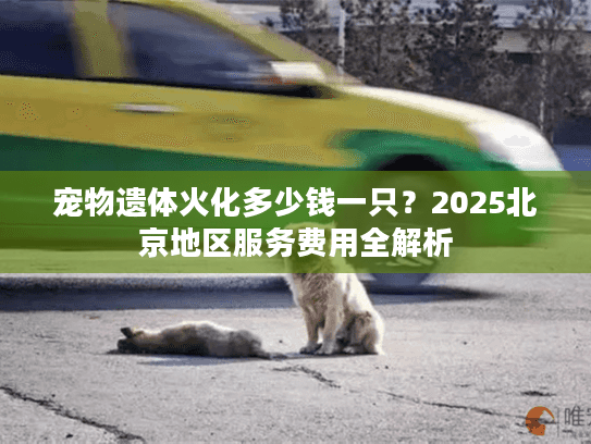 宠物遗体火化多少钱一只？2025北京地区服务费用全解析