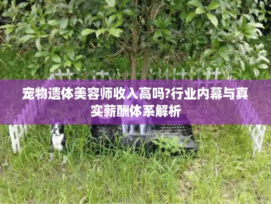 宠物遗体美容师收入高吗?行业内幕与真实薪酬体系解析