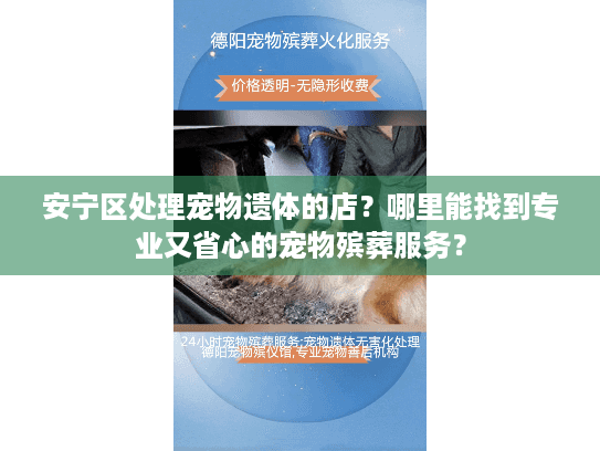 安宁区处理宠物遗体的店?哪里能找到专业又省心的宠物殡葬服务? 安宁区处理宠物遗体的店?哪里能找到专业又省心的宠物殡葬服务?