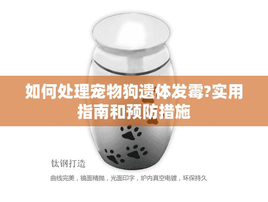 如何处理宠物狗遗体发霉?实用指南和预防措施