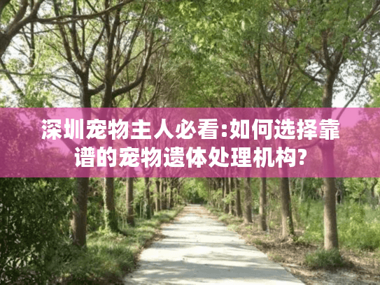 深圳宠物主人必看:如何选择靠谱的宠物遗体处理机构?