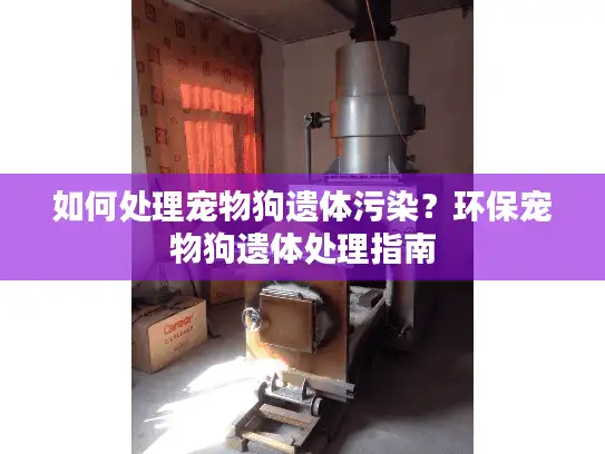 如何处理宠物狗遗体污染？环保宠物狗遗体处理指南