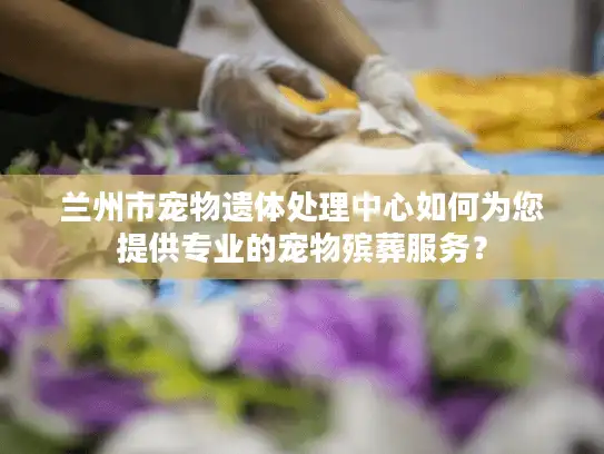 兰州市宠物遗体处理中心如何为您提供专业的宠物殡葬服务？