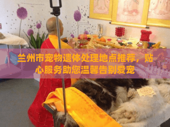 兰州市宠物遗体处理地点推荐，贴心服务助您温馨告别爱宠